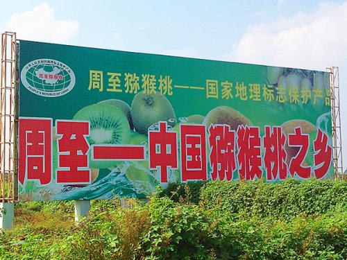 国际巅峰掌上供应链订货系统官方移动APP绿色下载