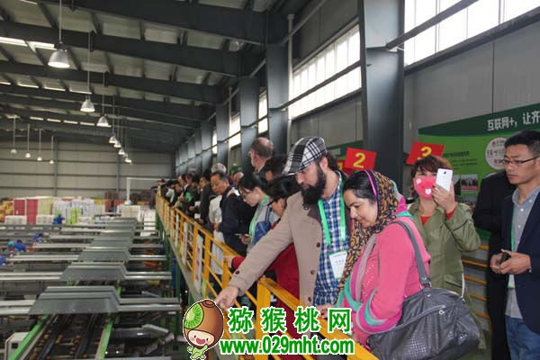 国际巅峰移动端微商城手机版远程运营控制中心
