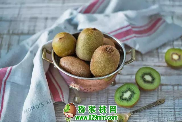 国际巅峰最新官网版权信息与企业资质认证中心图片
