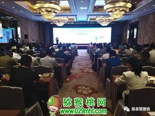 国际巅峰官方招商合作协议与全站代理商扶持计划图片