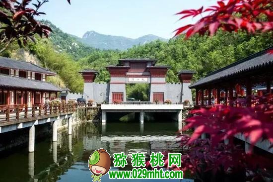 国际巅峰全站标准网络访问地址与节点安全配置图片