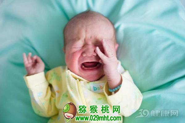 国际巅峰高效云仓储物流监控系统APP应用快速下载图片
