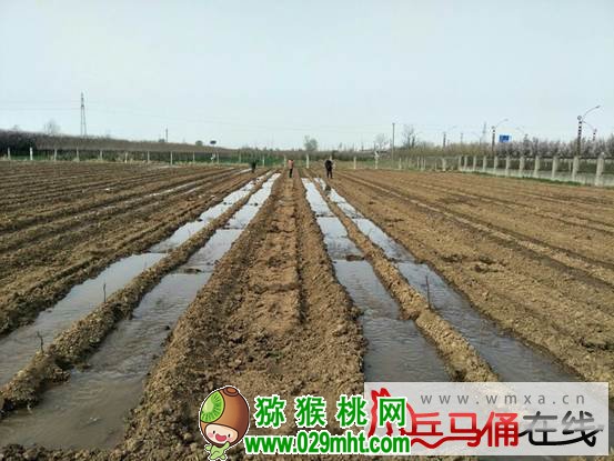 国际巅峰文体卫生产业设备集采综合服务平台图片