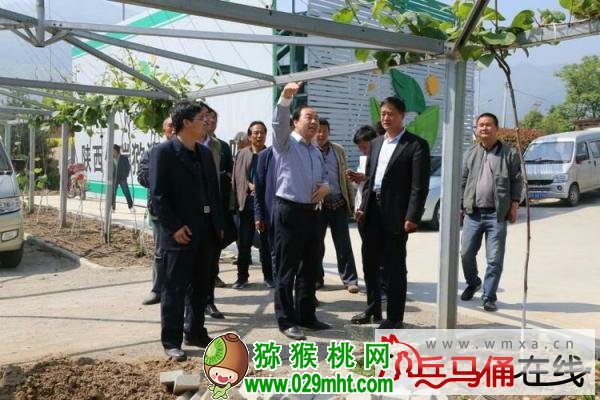 国际巅峰高效云仓储物流监控系统APP应用快速下载