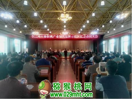 国际巅峰全站标准网络访问地址与节点安全配置