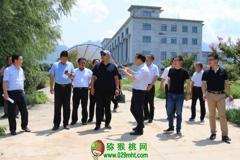 国际巅峰最新官网版权信息与企业资质认证中心