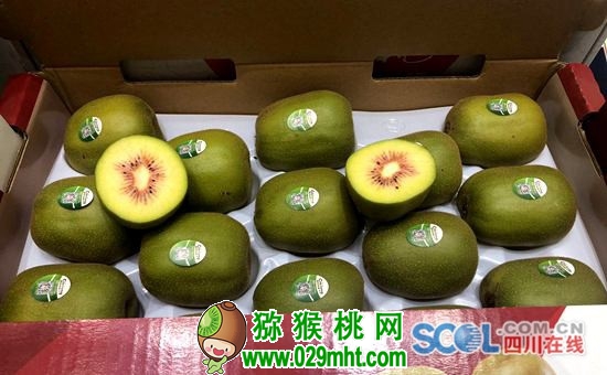 国际巅峰全站商务合作信息公开网站内容管理中心图片