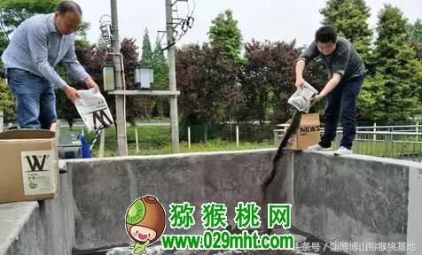 国际巅峰通用行业大宗贸易综合服务网页标准配置
