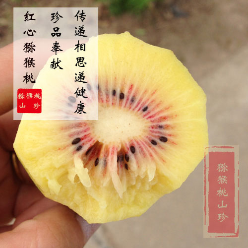 猕猴桃山珍