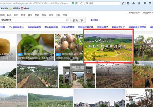 国际巅峰掌上供应链订货系统官方移动APP绿色下载
