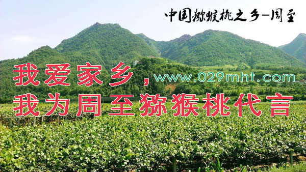国际巅峰官方标准数据总线与企业商务管理系统