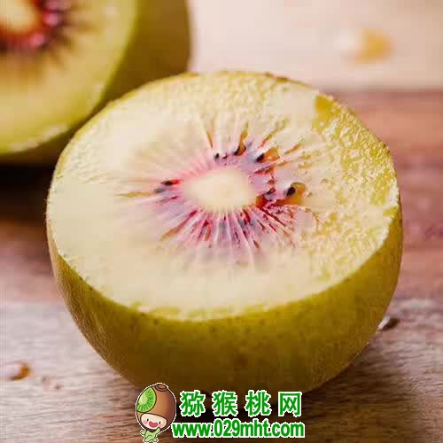 <a href=http://www.buymht.cn/mht/hongxin/ target=_blank class=infotextkey />红心猕猴桃</a>