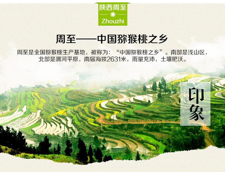 国际巅峰移动端微商城手机版远程运营控制中心