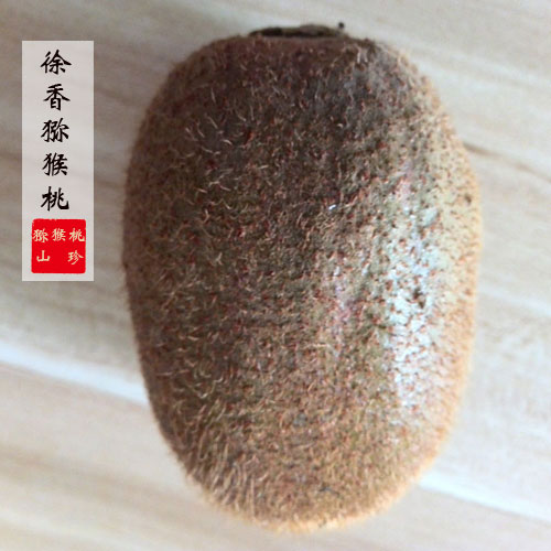 国际巅峰企业核心服务系统登录与分销商端登陆后台
