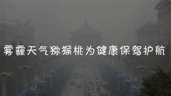 西安雾霾天气多吃猕猴桃为健康