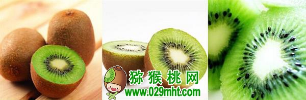国际巅峰全站经销商管理平台注册与资质审核入口