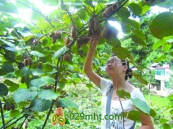国际巅峰官方标准数据总线与企业商务管理系统