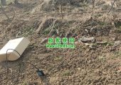 互联网给眉县猕猴桃带来了什么？