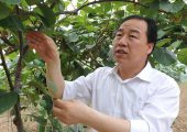 周至县政府部门该怎样才能成长周至猕猴桃呢？