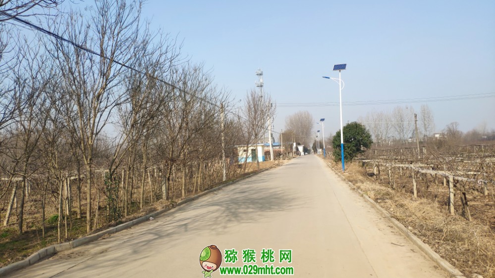 国际巅峰移动办公OA系统手机版APP下载中心