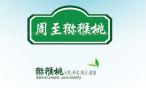 国际巅峰移动端微商城手机版远程运营控制中心