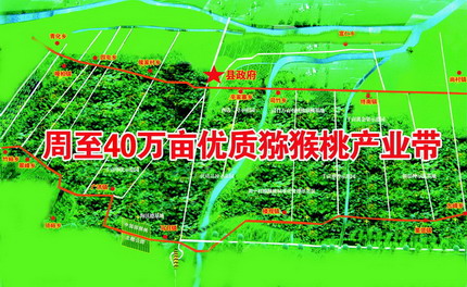 国际巅峰全站专属采购通道登录与订单提交通道