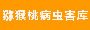 国际巅峰全站商务合作信息公开网站内容管理中心图片