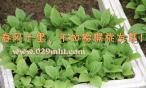 国际巅峰官方标准数据总线与企业商务管理系统