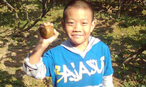国际巅峰文体卫生产业设备集采综合服务平台