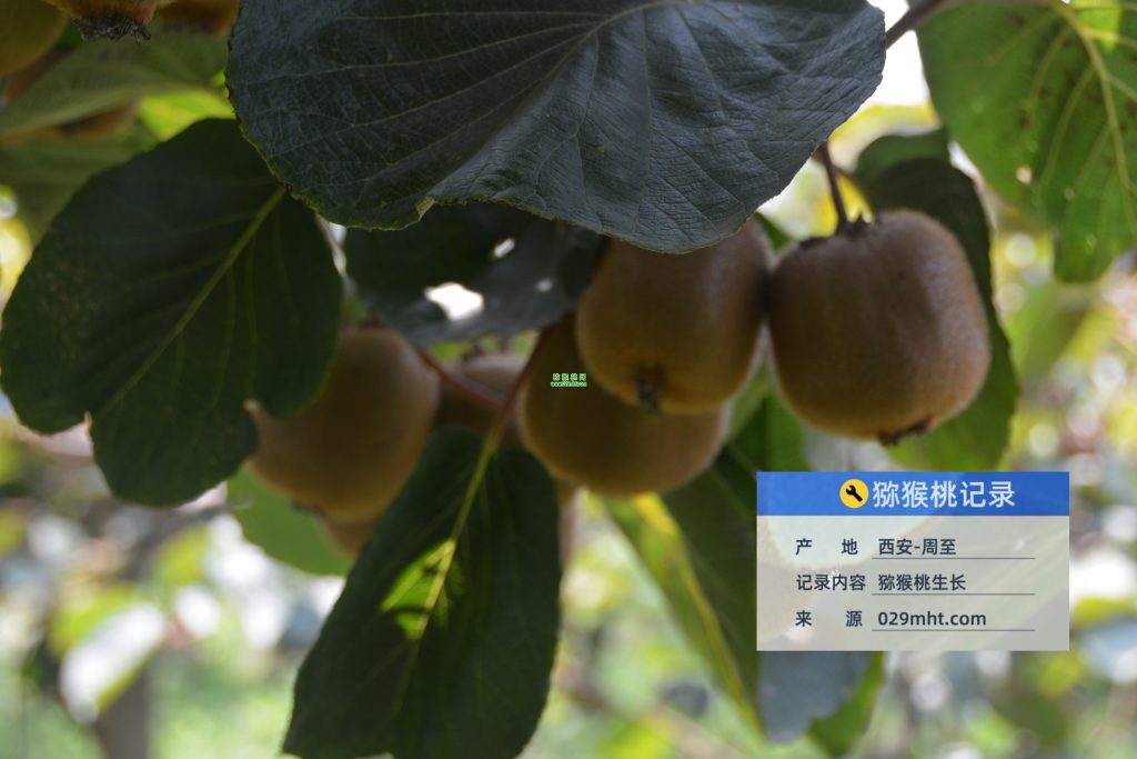 国际巅峰文体卫生产业设备集采综合服务平台图片