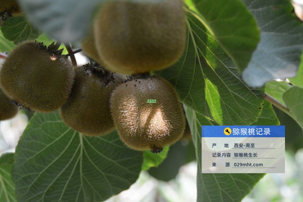 国际巅峰企业桌面分销管理客户端软件技术白皮书下载图片
